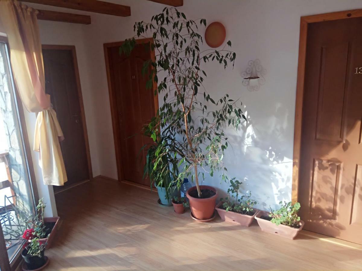 阿祖加 Casa Alexandru酒店 外观 照片